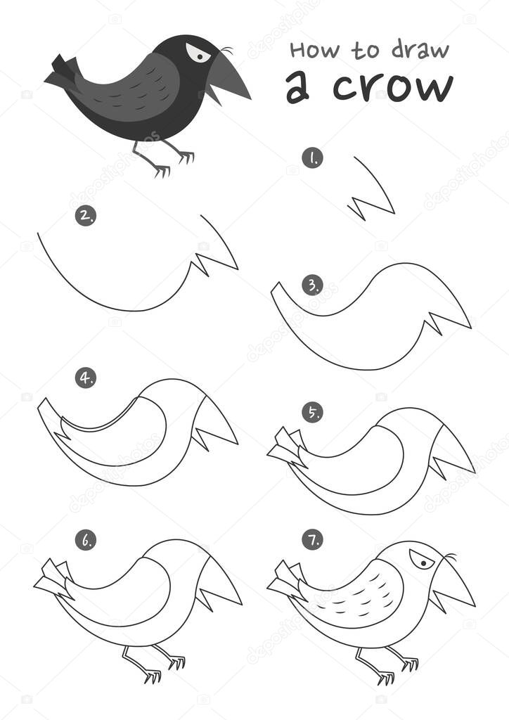 How to draw a crow bird vector illustration. Draw a crow step by step. Crow bird drawing guide. Cute and easy drawing guidebook.