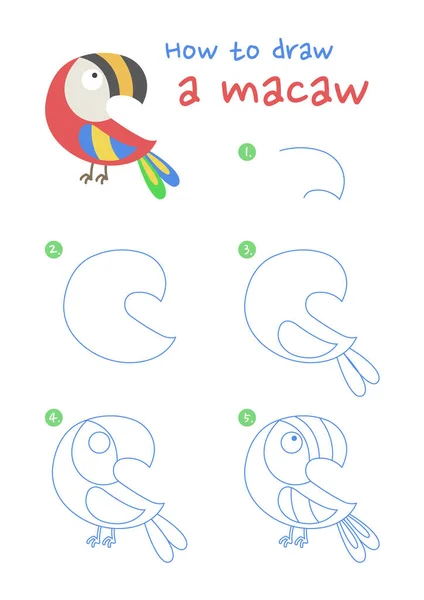How Draw Macaw Bird Vector Illustration Draw Macaw Step Step — Wektor stockowy
