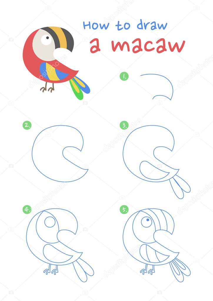 How to draw a macaw bird vector illustration. Draw a macaw step by step. Macaw bird drawing guide. Cute and easy drawing guidebook.
