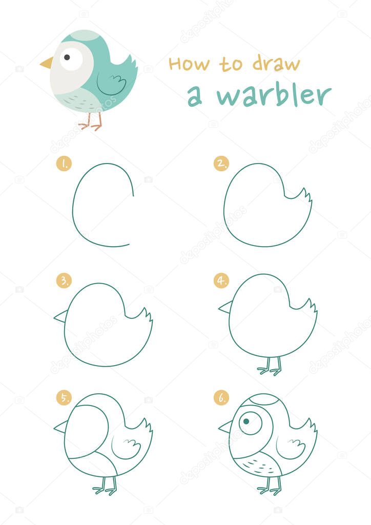 How to draw a warbler vector illustration. Draw a warbler step by step. Warbler drawing guide. Cute and easy drawing guidebook.