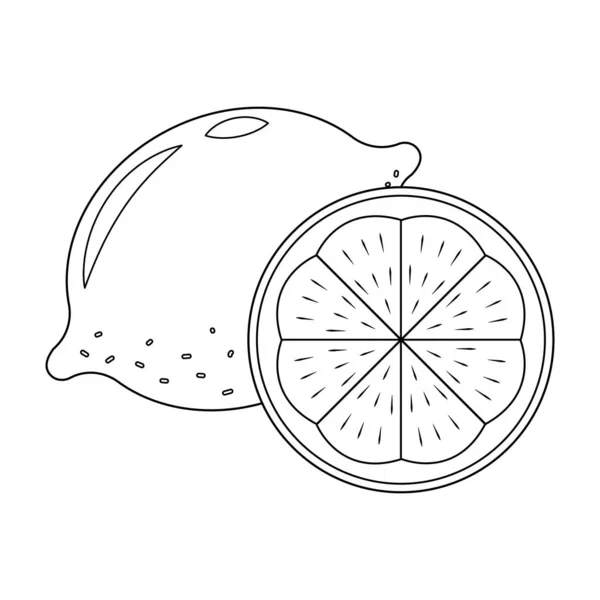 Limon dilimlenmiş vektör çizimi beyaz arka planda izole edilmiş. Lemon vektör çizgi film renklendirme sayfası.