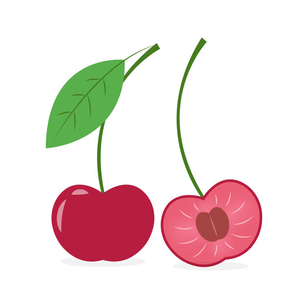 Черри векторная иллюстрация карикатура изолирована на белом фоне. Симпатичная вишневая карикатура.