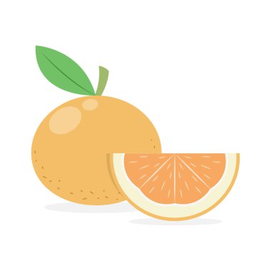 Beyaz arkaplanda izole edilmiş turuncu vektör çizimi. Şirin turuncu vektör.