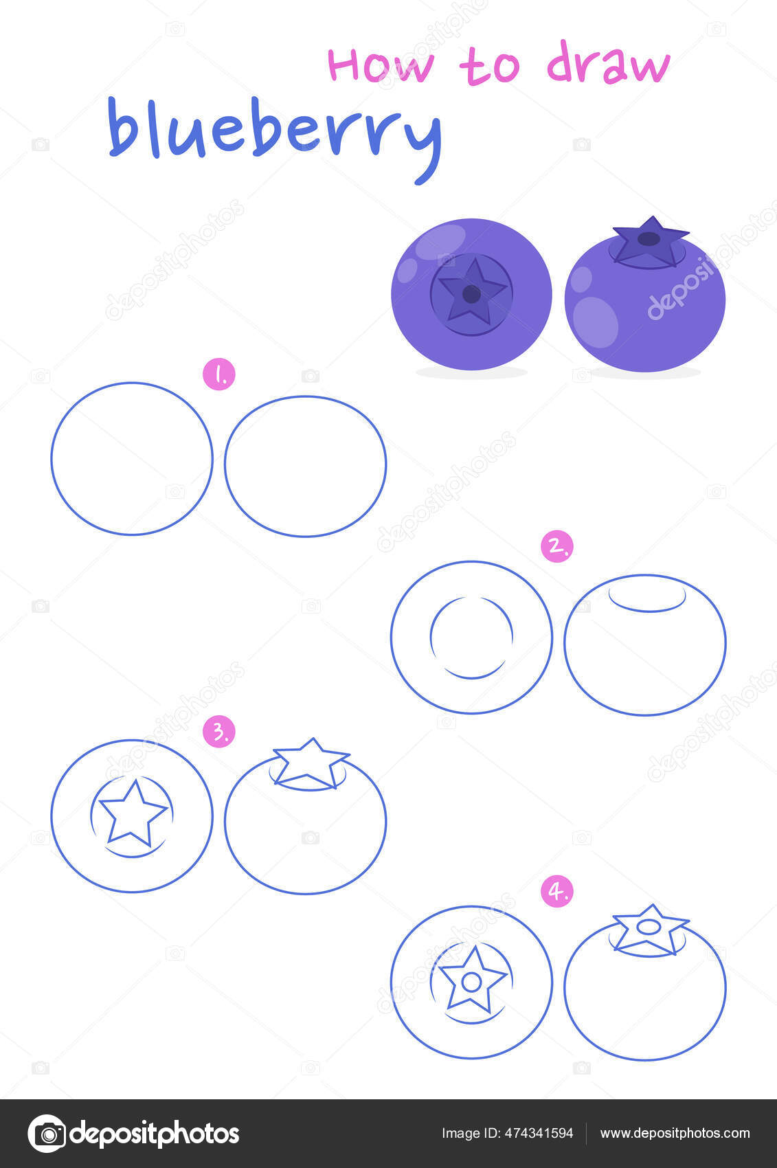 Hvordan Tegne Blåbærvektorillustrasjon Trekk Blåbær Steg Steg Blueberry  Tegneguide Søt stockvektor © NutkinsJ #474341594, image size:1131x1700