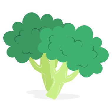 Brokoli vektör illüstrasyon çizgi filmi beyaz arkaplanda izole edildi. Brokoli vektör karikatürü.