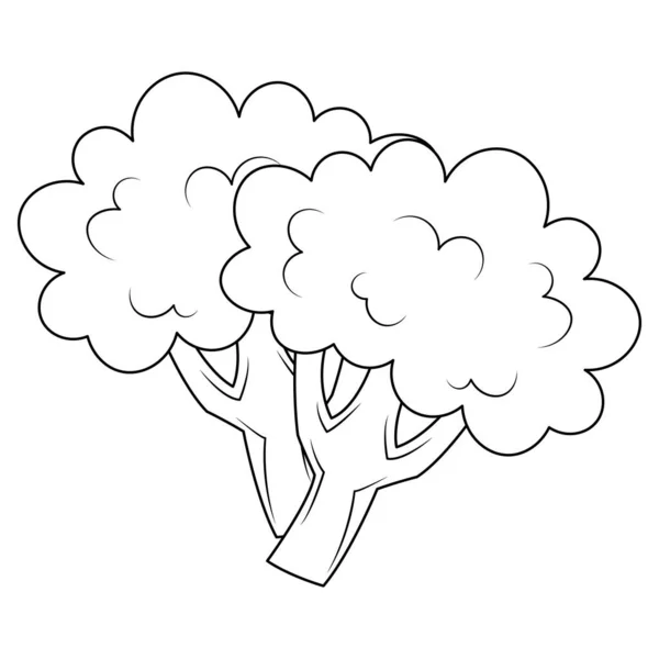 Brocoli Vecteur Illustration Dessin Animé Isolé Sur Fond Blanc Brocoli — Image vectorielle