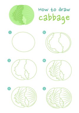 Lahana vektör çizimi nasıl yapılır? Lahana sebzeleri adım adım çiz. Lahana çizim rehberi. Şirin ve kolay çizim rehberi.
