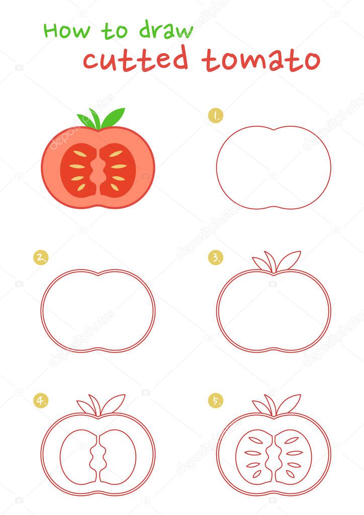 How to draw cutted tomato vector illustration. Draw cutted tomato step by step. Cutted tomato drawing guide. Cute and easy drawing guidebook.