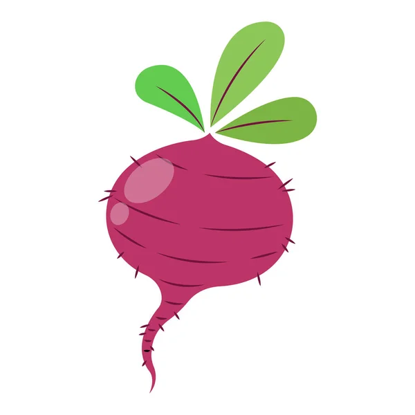 Beetroot Vector Illustration Cartoon Isolated White Background Cute Beetroot Vector - Stok Vektor