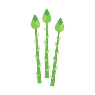 Kuşkonmaz vektör karikatürü beyaz arkaplanda izole edildi. Tatlı sebze çizgi filmi..