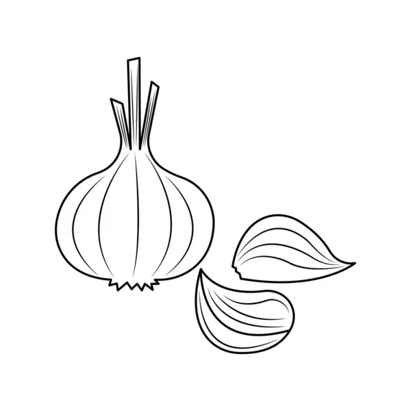 Garlic Vector Cartoon Isolated White Background Cute Vegetable Cartoon Coloring - Stok Vektor
