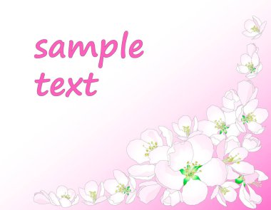 Beyaz ve pembe arka planda izole edilmiş elma çiçekli tatil kartı