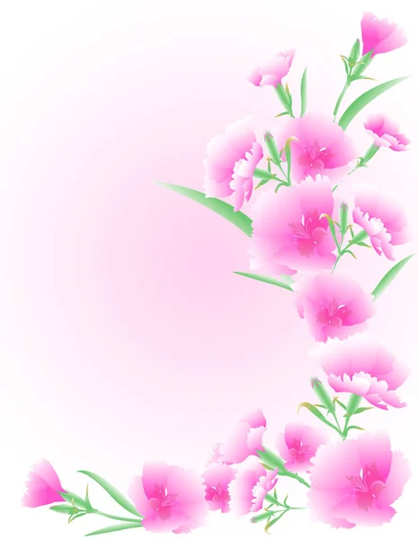 soluk pembe karanfilli yapraklar ve tomurcuklar suluboya pembe arka planda izole
