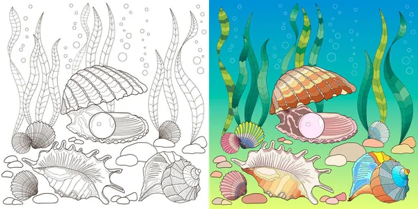 Siyah, beyaz ve renkli deniz kabukları olan iki zentangle resim seti.