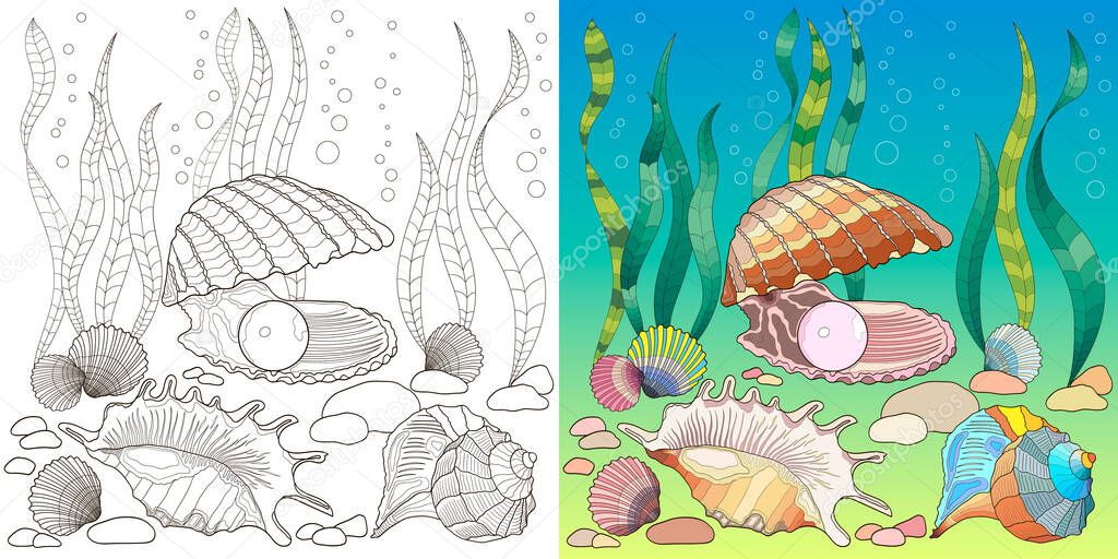 set of two zentangle pictures with sea shells in black and white and color