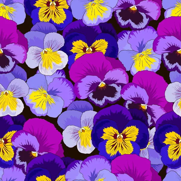 Impressão Floral Sem Costura Com Violas Tricolor Isolado Fundo Preto — Vetor de Stock