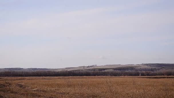 Paysage d'automne sur le fond du ciel — Video