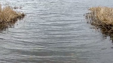 Rüzgar su dalgalar yapıyor