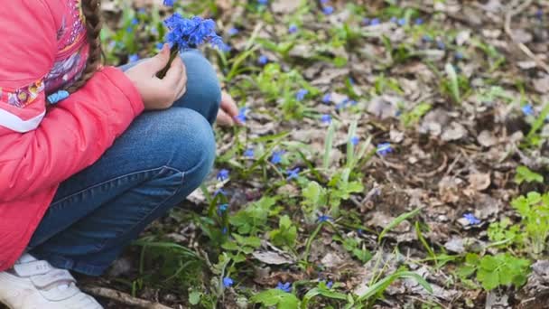 Дівчина збирає квіти на лузі — стокове відео