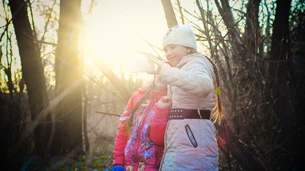 Mädchen im Wald machen bei Sonnenuntergang ein Selfie — Stockvideo