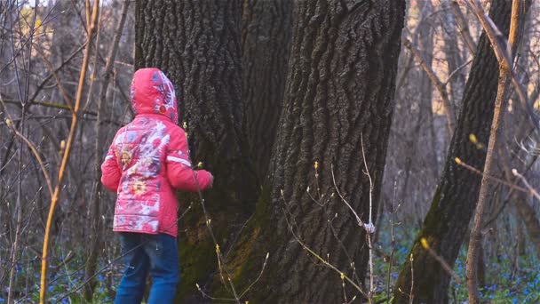 Meisjes in het bos rondrennen boom — Stockvideo
