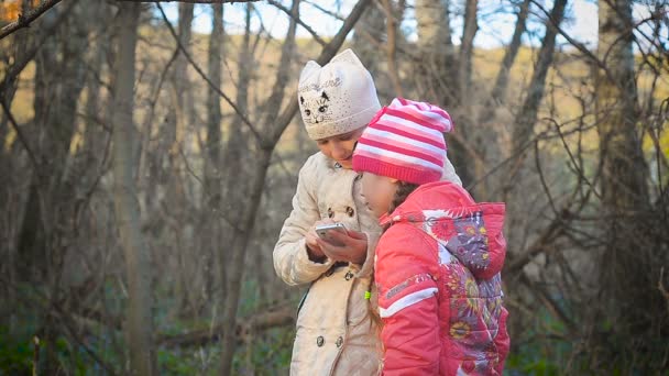 Chicas en el bosque hacen una selfie — Vídeos de Stock