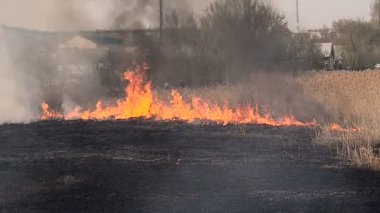 Uryupinsk, ne kadar iyi. Rusya - 13 Nisan 2016. Konutlara yakın ağır yangın