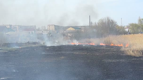 URYUPINSK RUSSIA - 13 APRILE 2016. I vigili del fuoco spengono un incendio vicino alle case residenziali — Video Stock