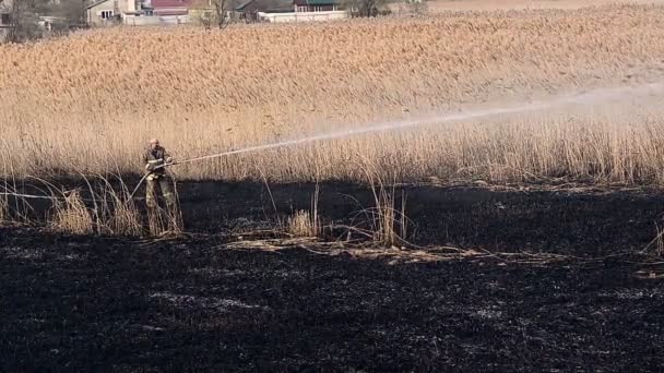 URYUPINSK. RUSIA - 13 DE ABRIL DE 2016. Bombero apaga el fuego con una manguera de agua — Vídeo de stock