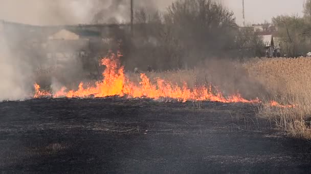 URYUPINSK. RUSSIA - APRIL 13, 2016. Heavy fire close to residential houses people — Stock Video