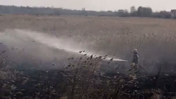 Uryupinsk, ne kadar iyi. Rusya - 13 Nisan 2016. İtfaiyeci söndürmek yangın bulrush yakaladı — Stok video