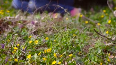 Bir çiçek çayır bir bilgisayarda çalışan bir kadın