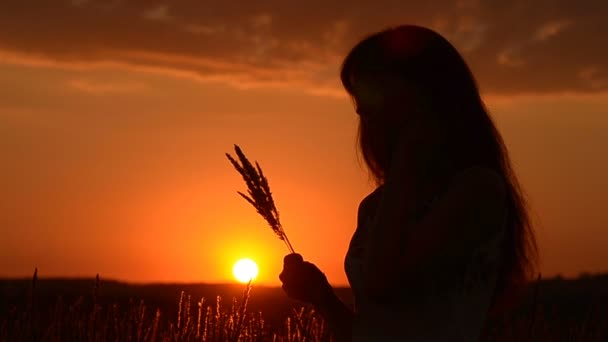 A menina com trigo em um pôr-do-sol — Vídeo de Stock