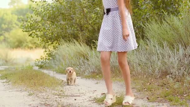 Ragazza corre con un cucciolo sulla strada . — Video Stock