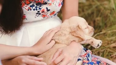 Köpek yavrusu ellerde uykuya düştü.