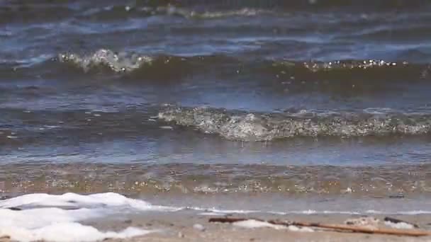 Las olas del agua contaminada pleskatsya la costa — Vídeos de Stock