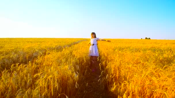 Ragazza è girata nel campo con grano — Video Stock