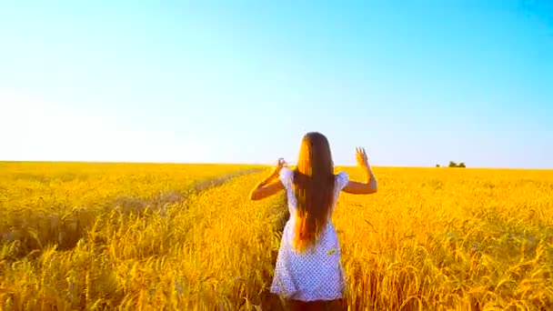 Ragazza corre con il grano attraverso il campo — Video Stock