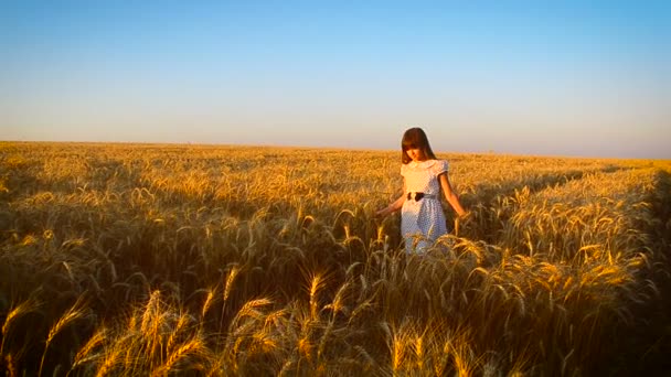 Ragazza è girata nel campo con grano — Video Stock