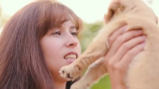 Fille joue avec un petit chiot — Video