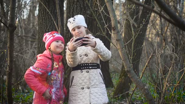 Chicas en el bosque hacen una selfie — Vídeo de stock