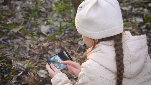 Fille photographiant des fleurs dans la forêt de printemps — Video