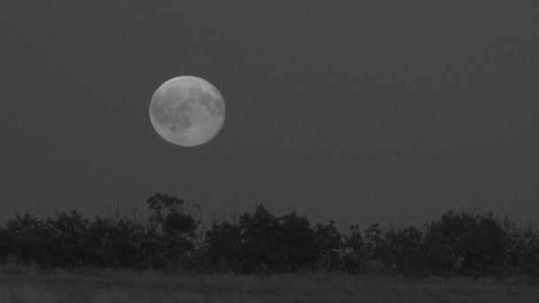Luna llena sobre el oscuro cielo negro por la noche — Vídeos de Stock