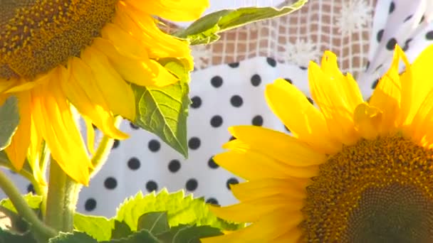 Chica con girasoles — Vídeo de stock