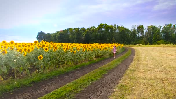 Mädchen mit Sonnenblumen. — Stockvideo