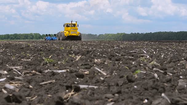 Tractor plow land. — Stockvideo