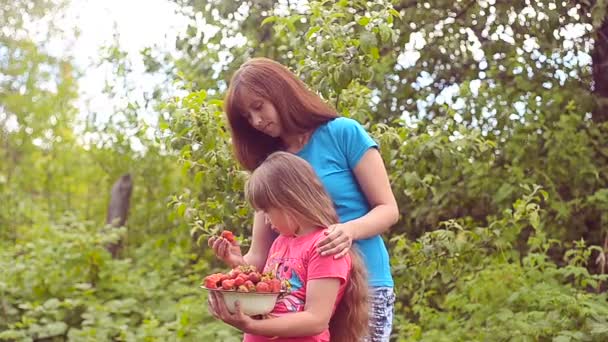 Mädchen isst Erdbeere. — Stockvideo