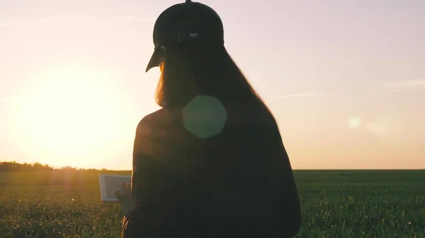 Silhouette di una contadina con tavoletta che studia il raccolto di grano in campo. primo piano. agronomo ragazza lavora con tablet sul campo di grano al sole. donna d'affari pianifica il suo reddito sul campo. raccolto di cereali. — Foto Stock