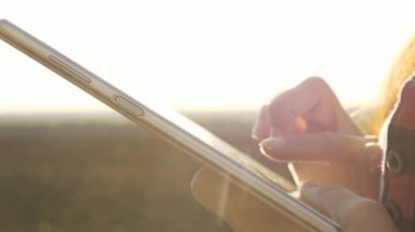 Tabletle tarlada buğday mahsulü inceleyen bir kadın çiftçinin silüeti. Yakın plan. Tarımcı kız, güneşte buğday tarlasında tabletle çalışıyor. İş kadını kazancını sahada planlıyor. tahıl hasat.