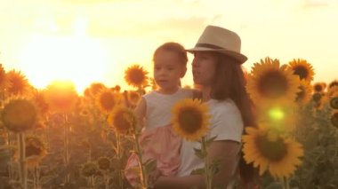 Bir çiftçinin kollarında küçük bir kız anne, güzel bir gün batımının ışınları altında bir ayçiçeği tarlasında yürüyor. Sevgi dolu bir aile, çiçek açan bir ayçiçeği çiftliğinde seyahat eder. ekolojik turizm